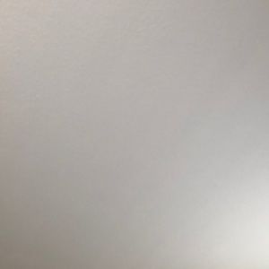 Meet your Posher, Tanitra